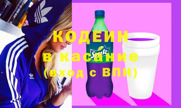 ПСИЛОЦИБИНОВЫЕ ГРИБЫ Горняк