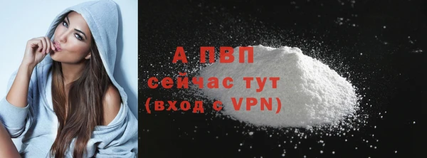 ПСИЛОЦИБИНОВЫЕ ГРИБЫ Горнозаводск