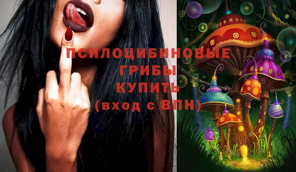 ПСИЛОЦИБИНОВЫЕ ГРИБЫ Горняк