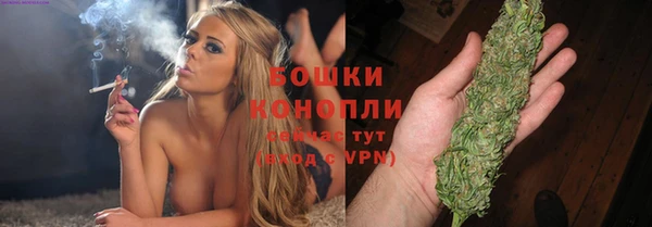 ПСИЛОЦИБИНОВЫЕ ГРИБЫ Горнозаводск