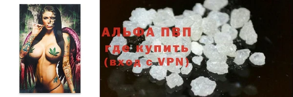 ПСИЛОЦИБИНОВЫЕ ГРИБЫ Горняк