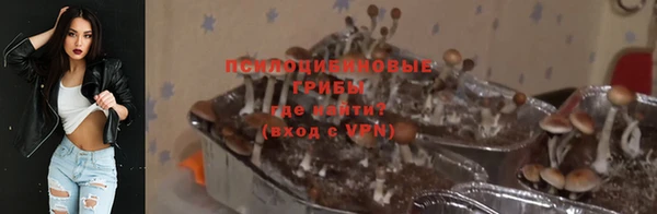 ПСИЛОЦИБИНОВЫЕ ГРИБЫ Горняк