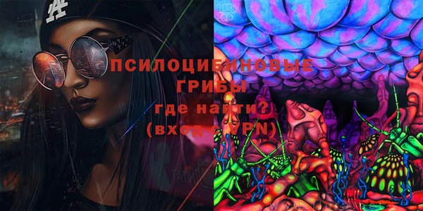 ПСИЛОЦИБИНОВЫЕ ГРИБЫ Горняк