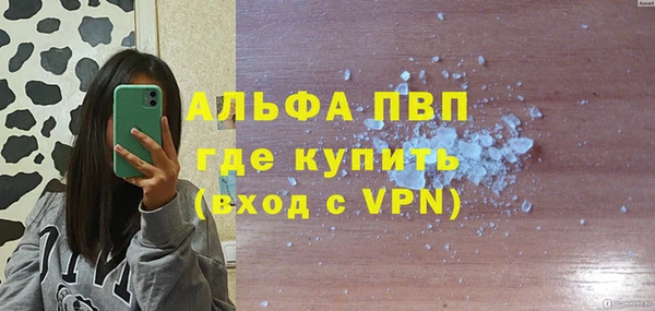 ПСИЛОЦИБИНОВЫЕ ГРИБЫ Горняк