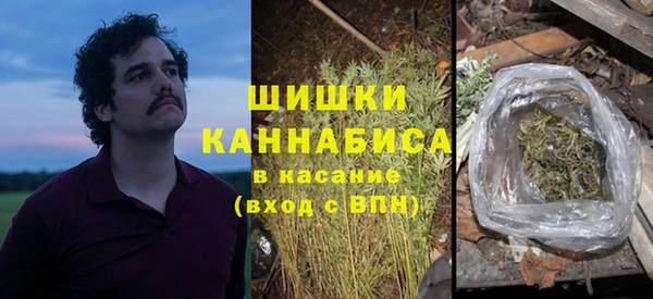 ПСИЛОЦИБИНОВЫЕ ГРИБЫ Горнозаводск