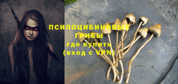 ПСИЛОЦИБИНОВЫЕ ГРИБЫ Горнозаводск