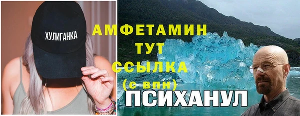 ПСИЛОЦИБИНОВЫЕ ГРИБЫ Горняк
