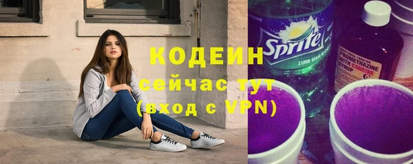 ПСИЛОЦИБИНОВЫЕ ГРИБЫ Горняк