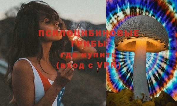 ПСИЛОЦИБИНОВЫЕ ГРИБЫ Горнозаводск