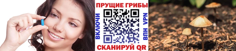 Галлюциногенные грибы ЛСД  Купить где  Сольвычегодск 