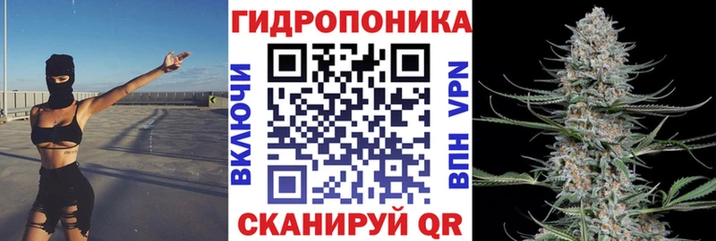 Конопля AK-47  Купить где  Сольвычегодск 